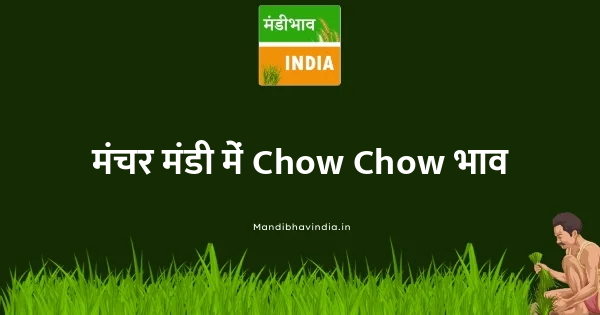 Chow Chow भाव